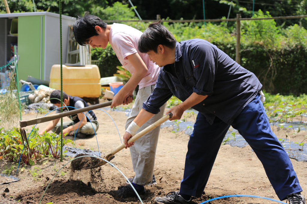 すみなす会の画像・写真